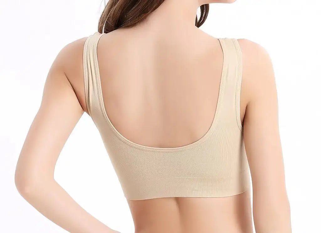 Vermilion 3 Pack Bird Seamless Comfortable Sports Bra For Women's with Removable Pads