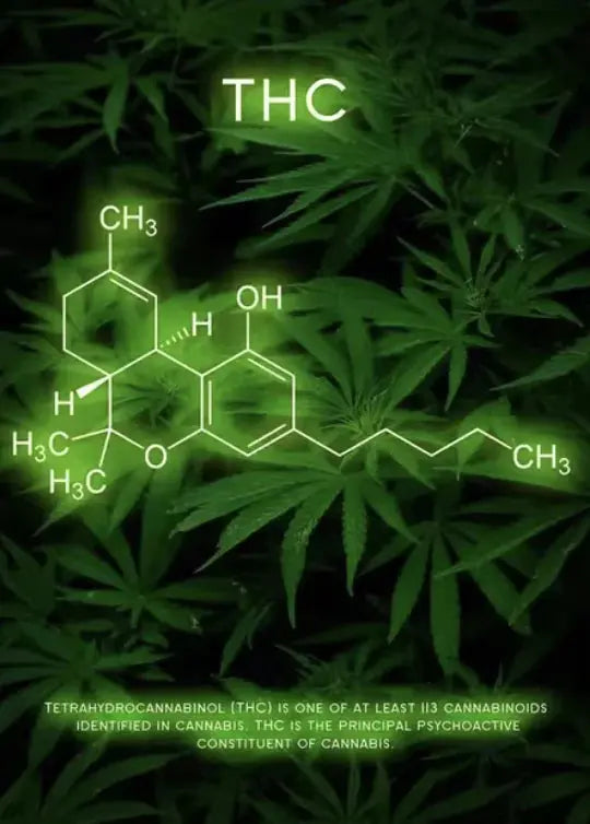 Vibrant Molecule Skyline Canvas