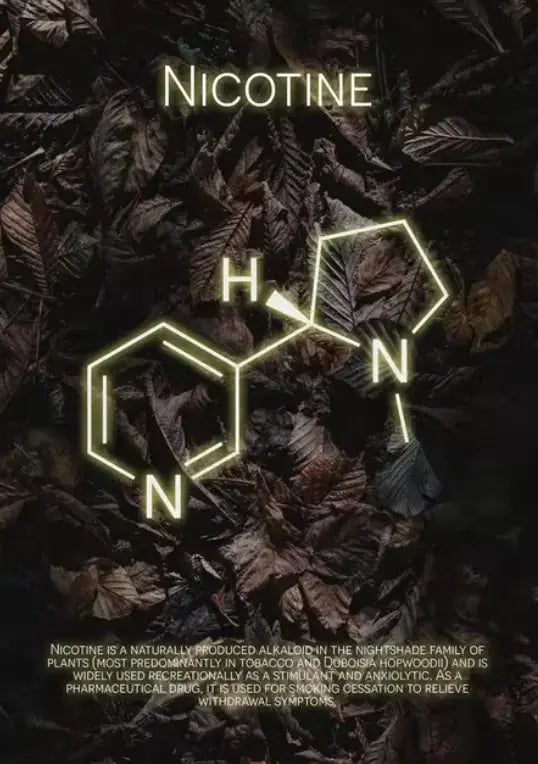 Vibrant Molecule Skyline Canvas