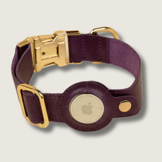 Stylish Leather AirTag Dog Collar - Purple - Davie