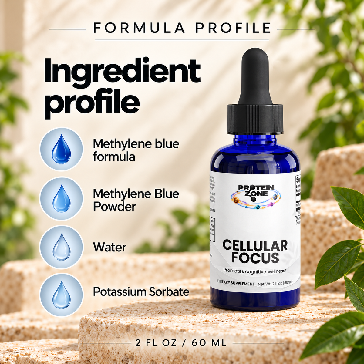 Cellular Focus