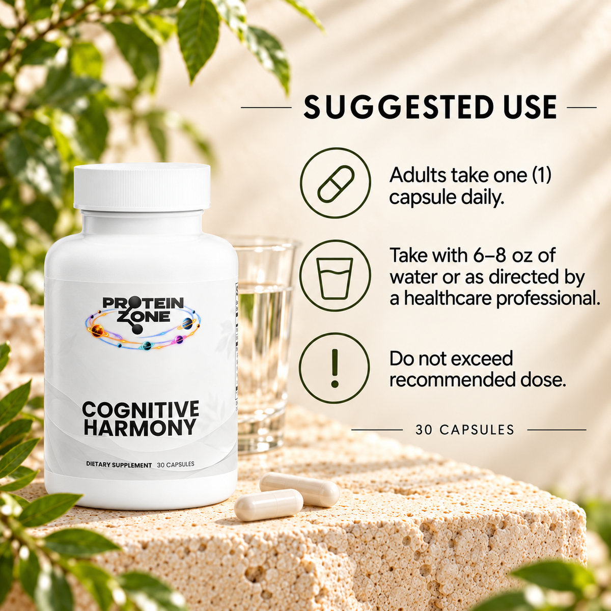 Cognitive Harmony