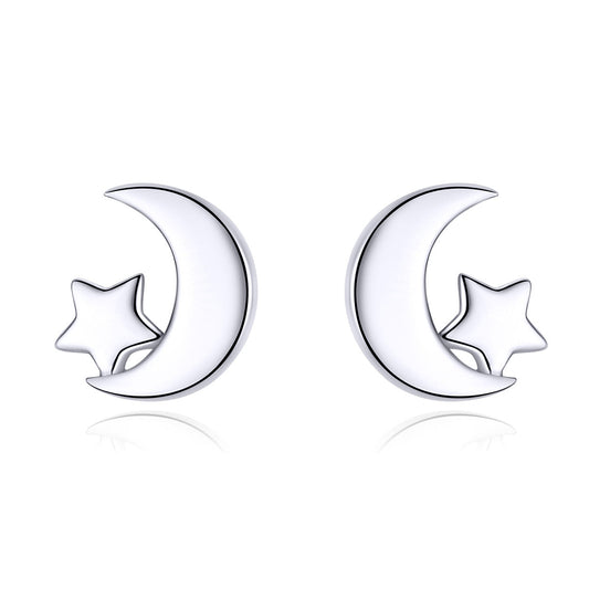 S925 Sterling Silver Earrings for Women