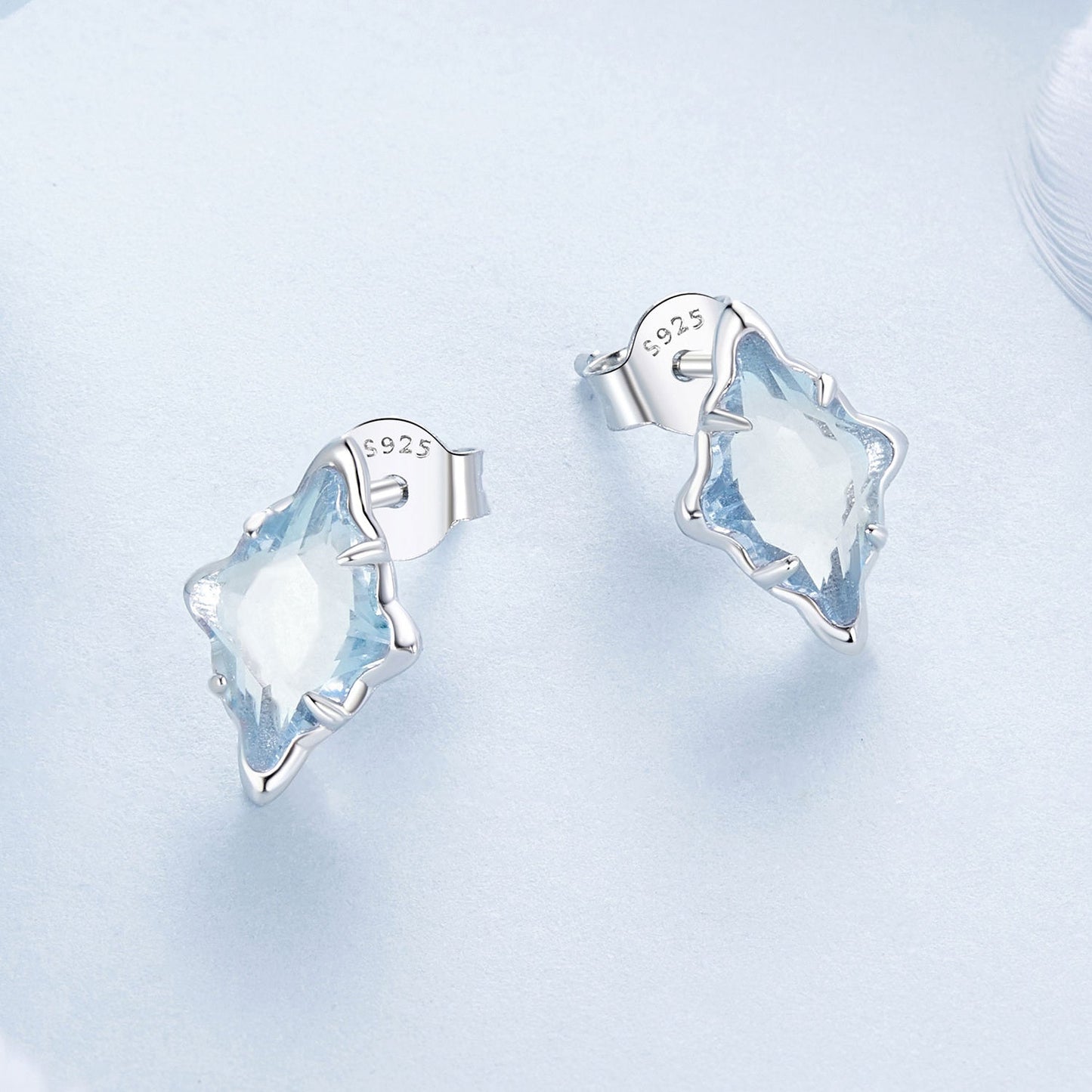 925 Sterling Silver Earrings with Transparent Glass and White Gold Plating