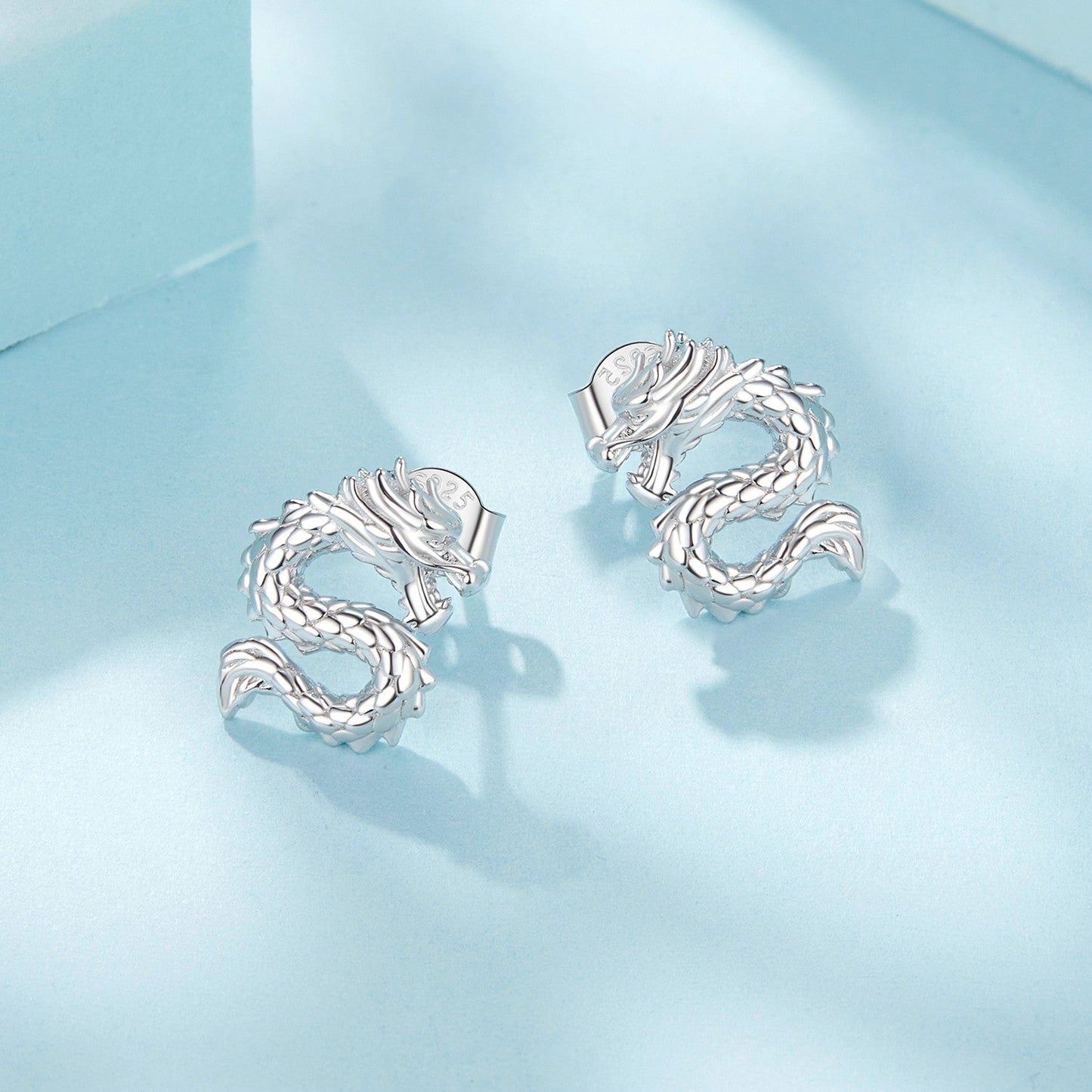 925 Sterling Silver Plated White Gold Earrings