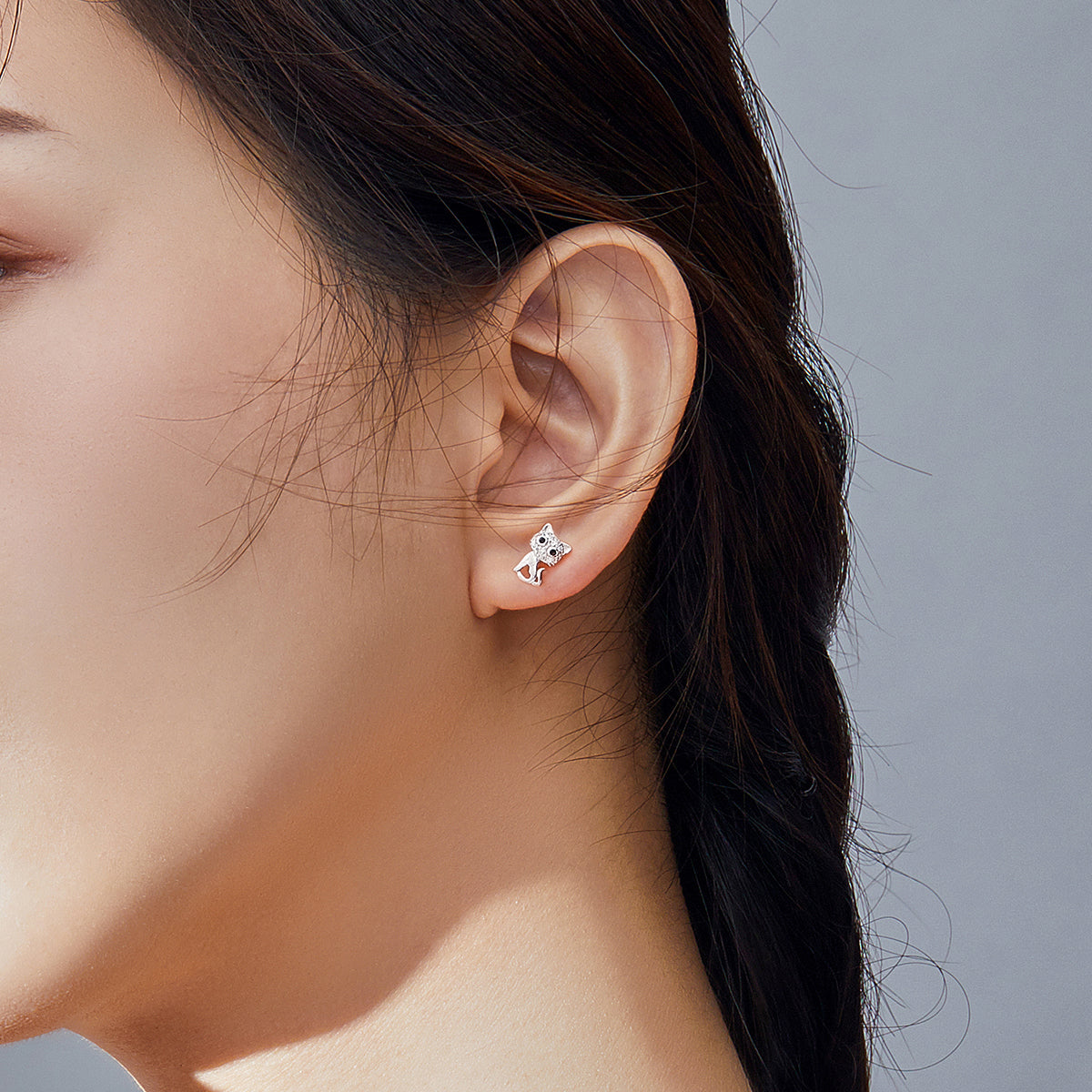S925 Sterling Silver Earrings for Women