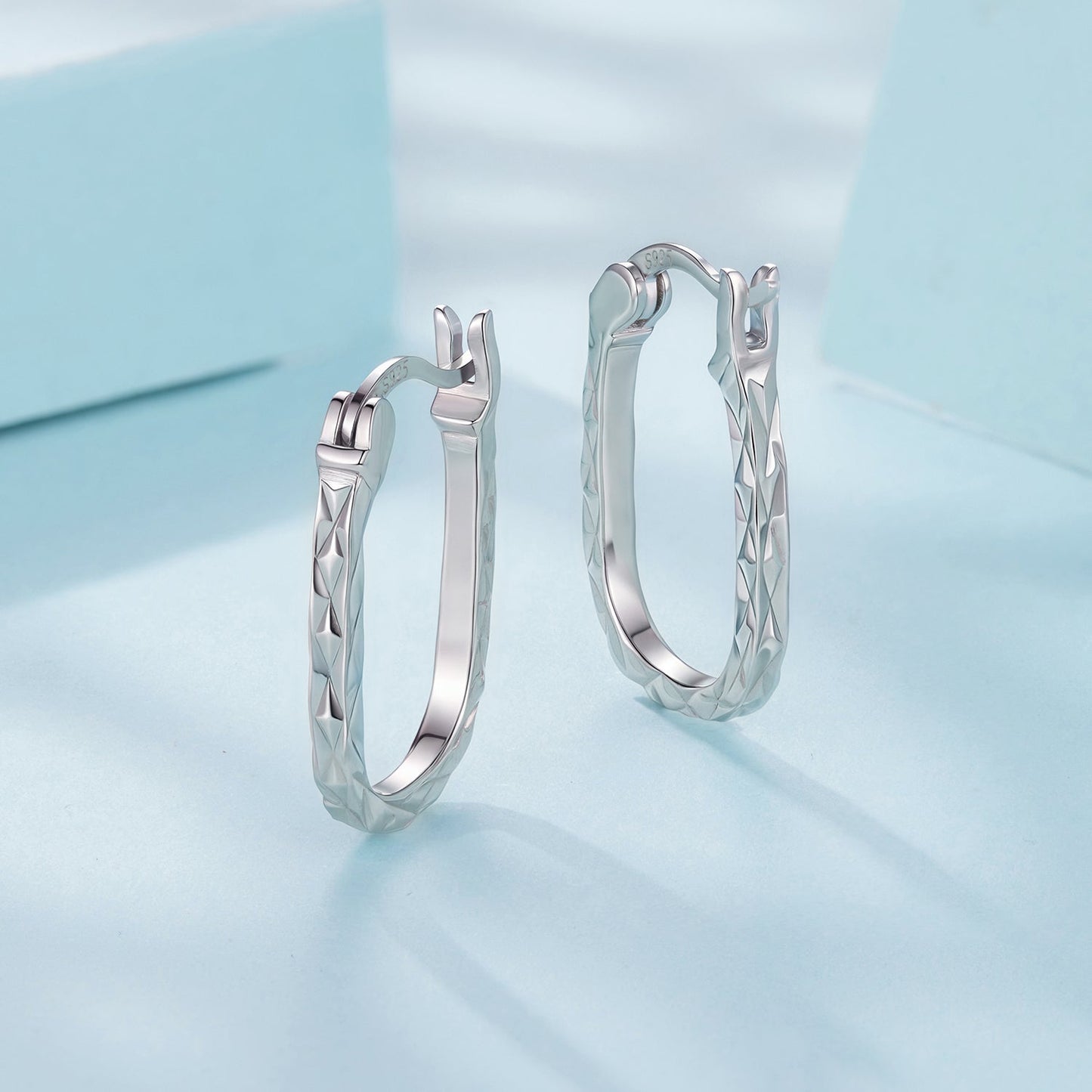 925 Sterling Silver Hoop Earrings for Women
