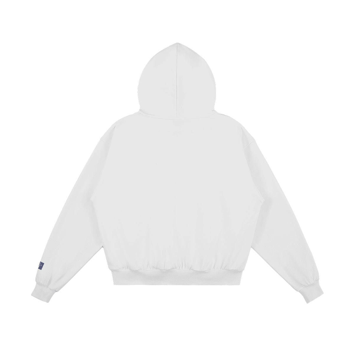 RESIST EMPIRE Heavyweight Premium Quality Boxy Hoodie